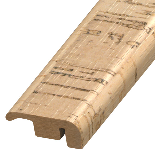 MREC-128549, Ventre