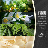 WoodWick White Tea & Jasmine Candle -Chikili.com