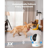 Reolink E1 Zoom Smart PTZ WiFi Indoor Camera-Chikili.com