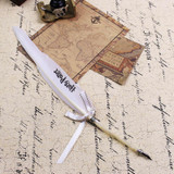 Harry Potter Feather Pen - Chikili.com