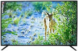 75"UHD4K Smart LED TV/Android9.0