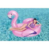 60" x 56"/1.53m x 1.43m Luxury Flamingo