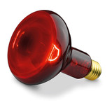 Beurer IL 11 Infrared Lamp - Chikili.com