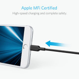 Anker PowerLine II Lightning Cable (3FT) UN -Chikili.com