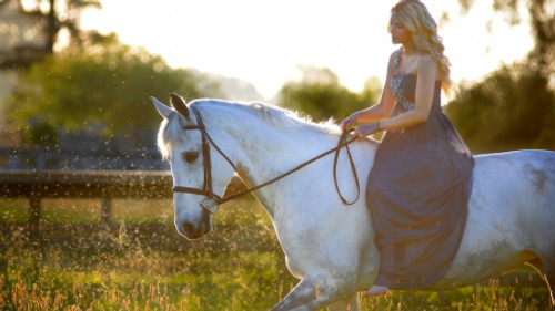 Princess -Snow White with Horse
