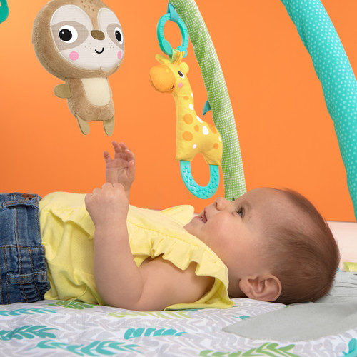 BRIGHT STARTS HUG N CUDDLE ACTIVITY GYM