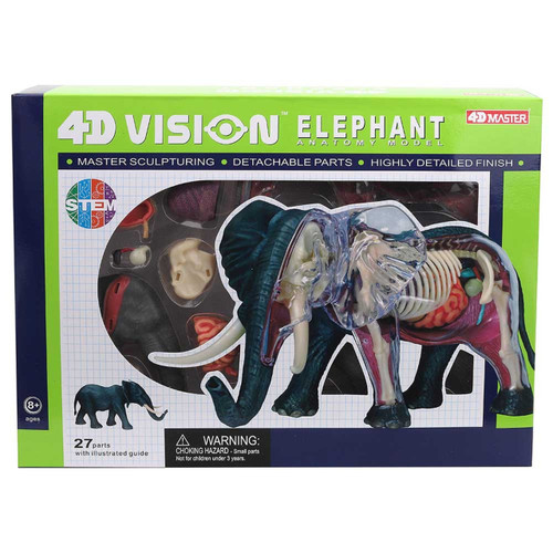 4D ELEPHANT ANATOMY