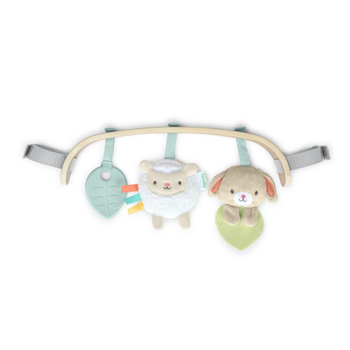 INGENUITY WONDER & WOOD CARRIER TOYBAR