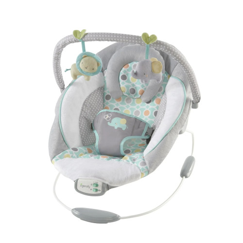 SOOTHING BOUNCER - MORRISON