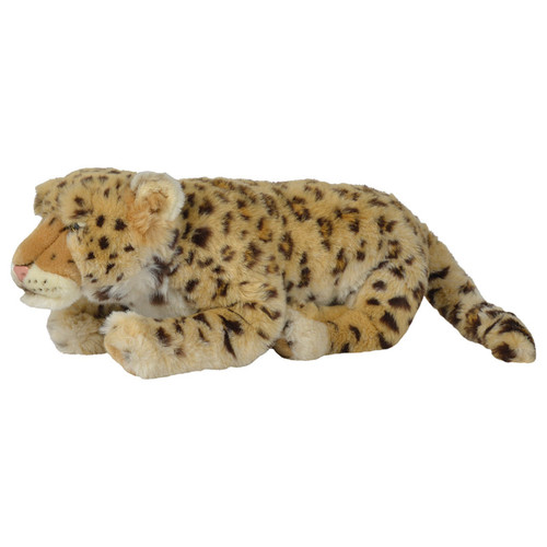 Nicotoy Leopard With Beans -Chikili.com