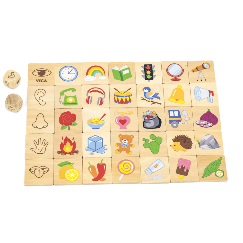 Viga Learning Senses Puzzle Set