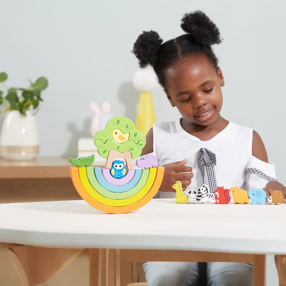 Viga Rainbow Balancing Blocks