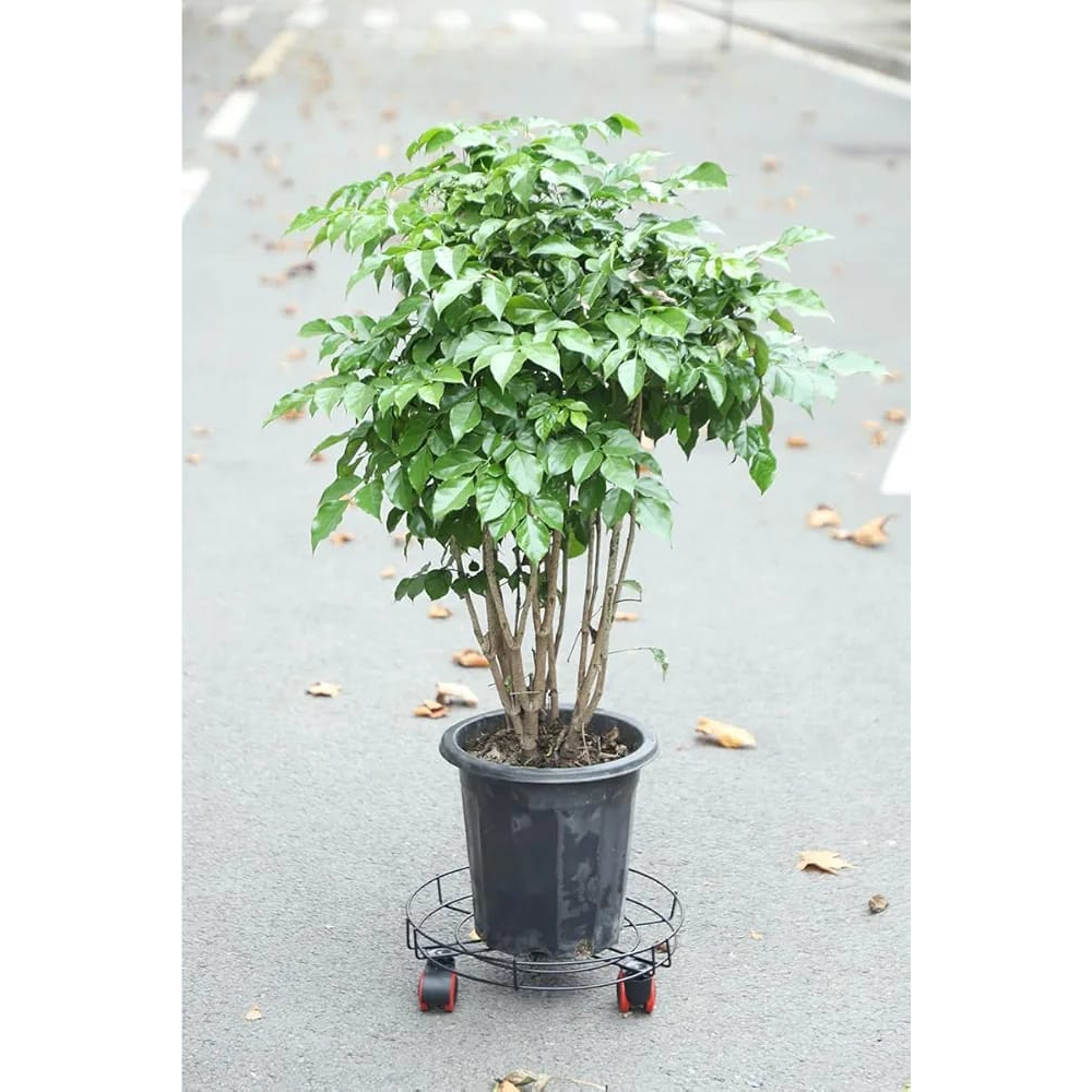 Movable Gas & Flower Pot Base
