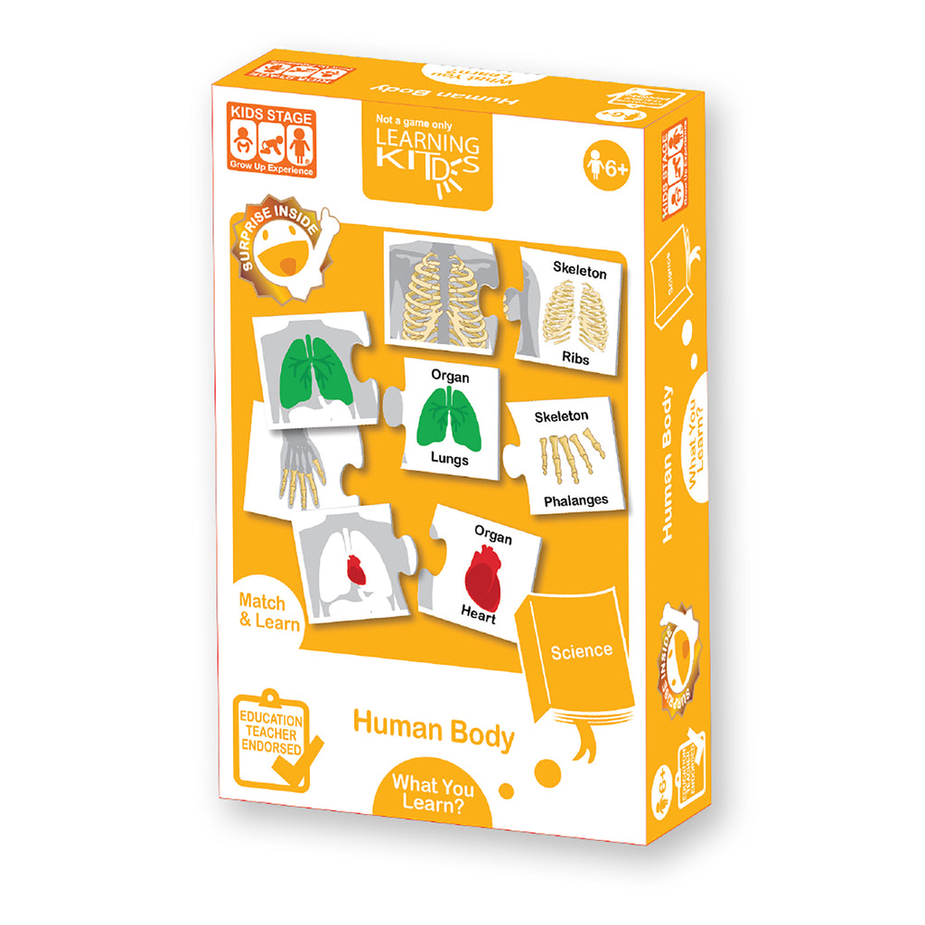 Learning Kitds - Human Body