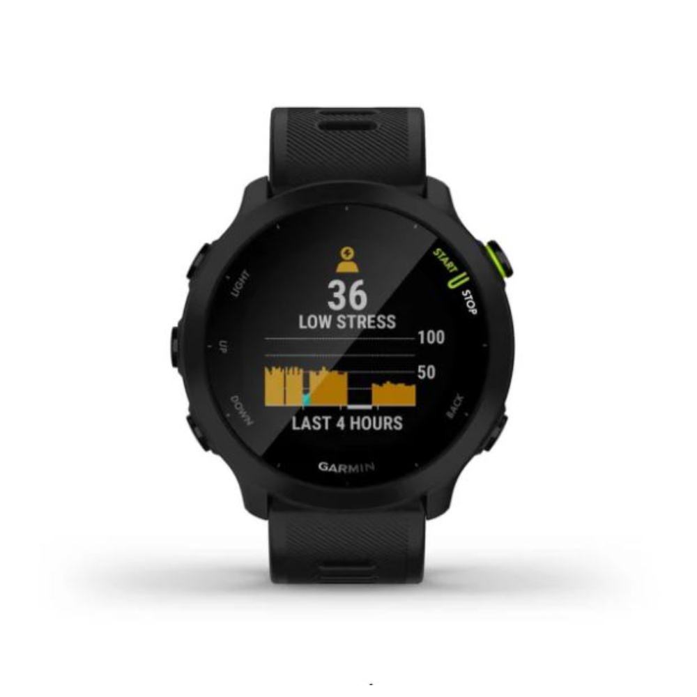 Garmin Forerunner 55 GPS