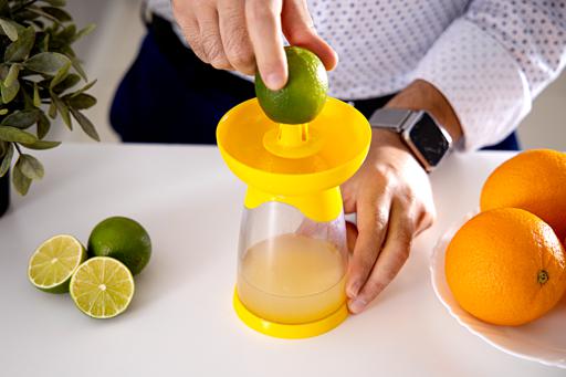 Royalford Lemon Squeezer 1X48