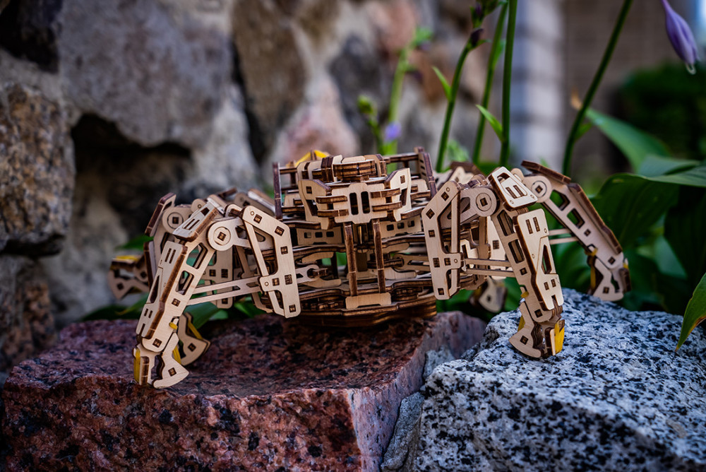 Hexapod Explorer Hexapod Explorer