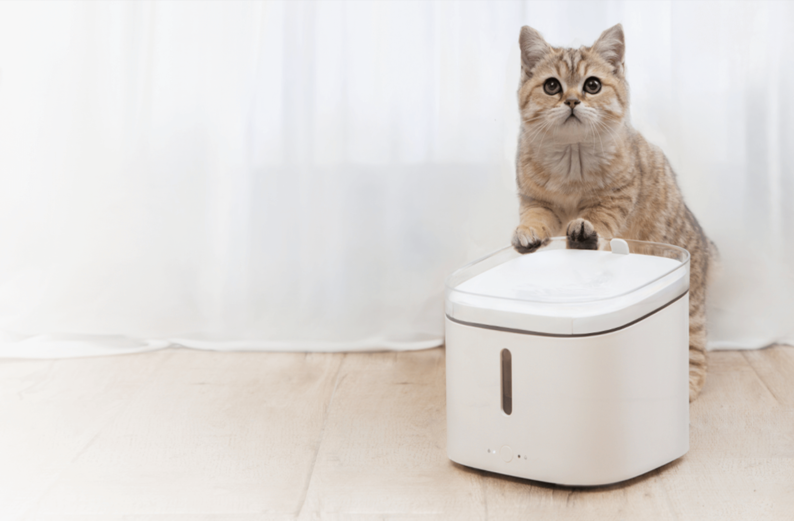 Xiaomi Smart Pet Drinking Fountain Uk