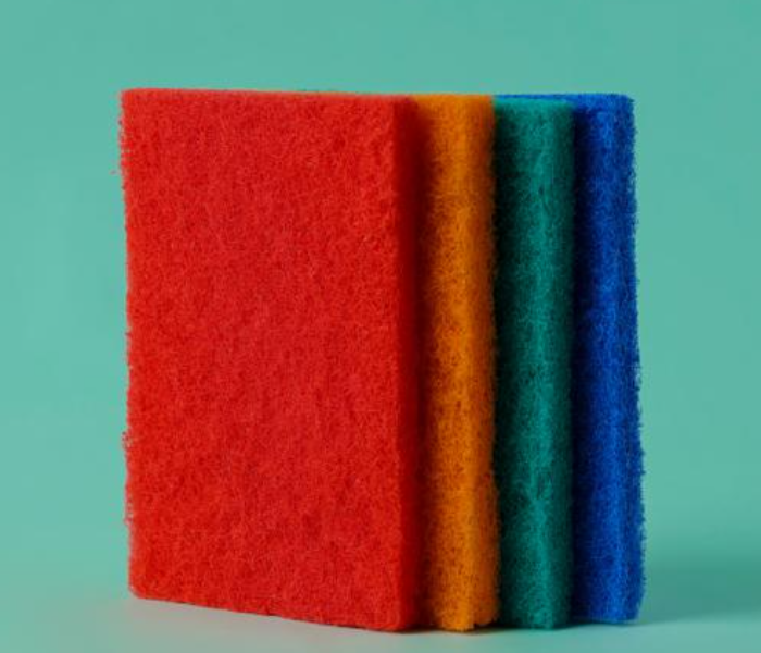 Royalford 5Pcs Scouring Pad 1X96