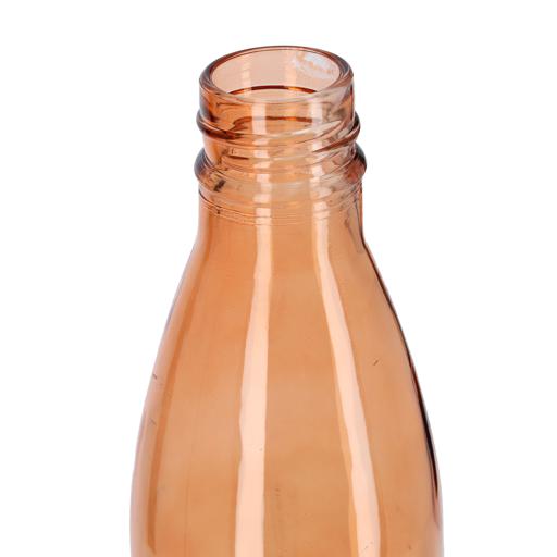 Royalford Ecodine Glass Water Bottle 450Ml1X24