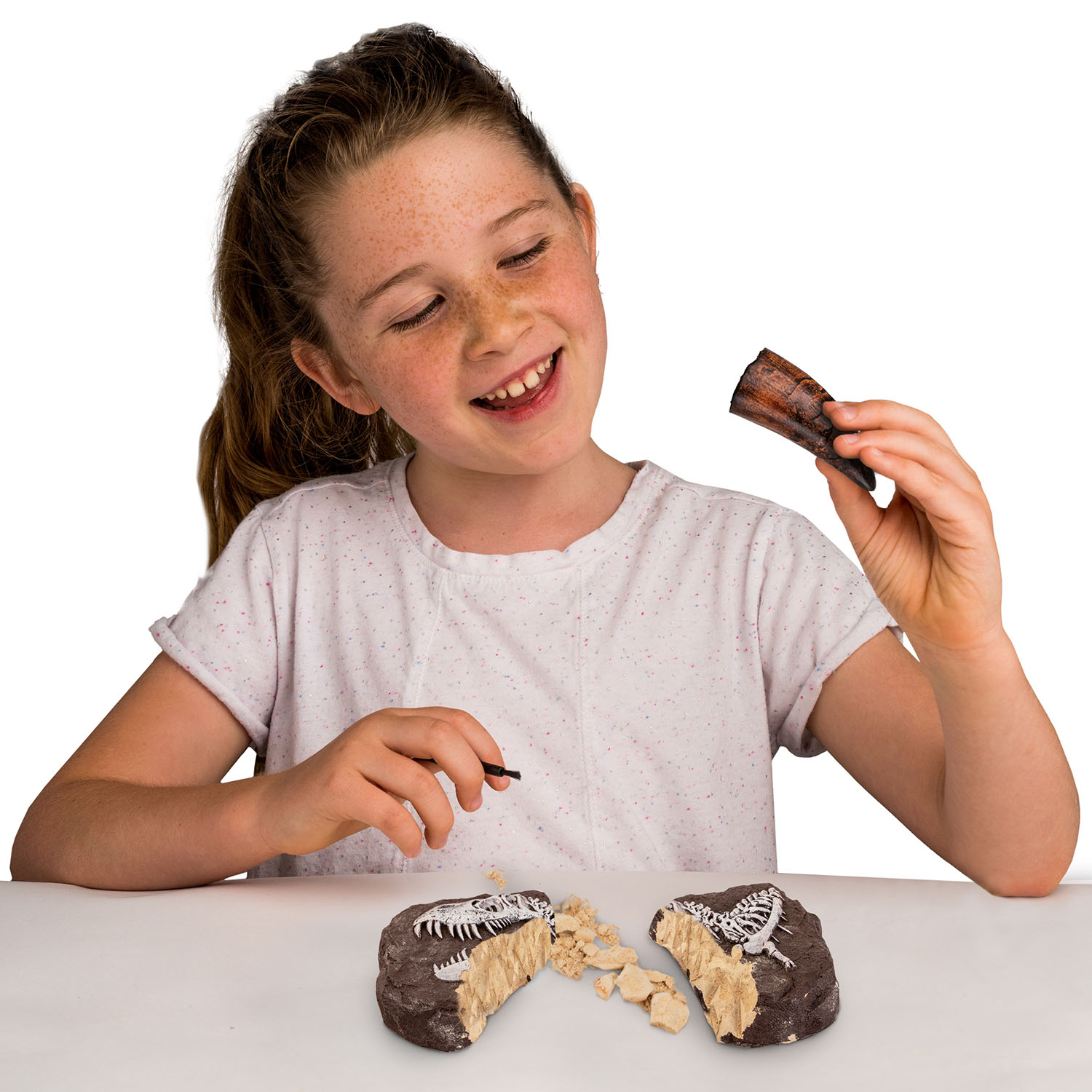 NG DINO FOSSIL DIG KIT