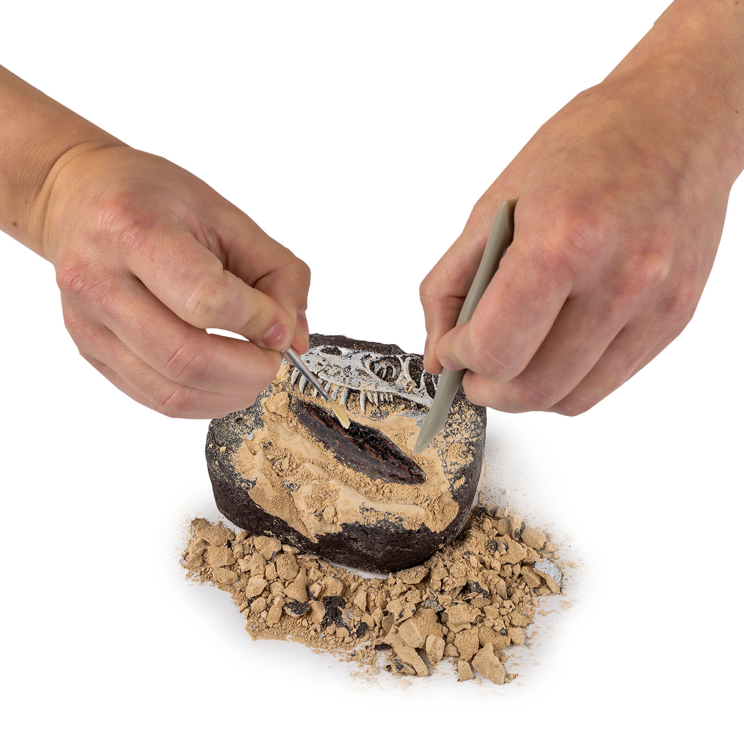 NG DINO FOSSIL DIG KIT