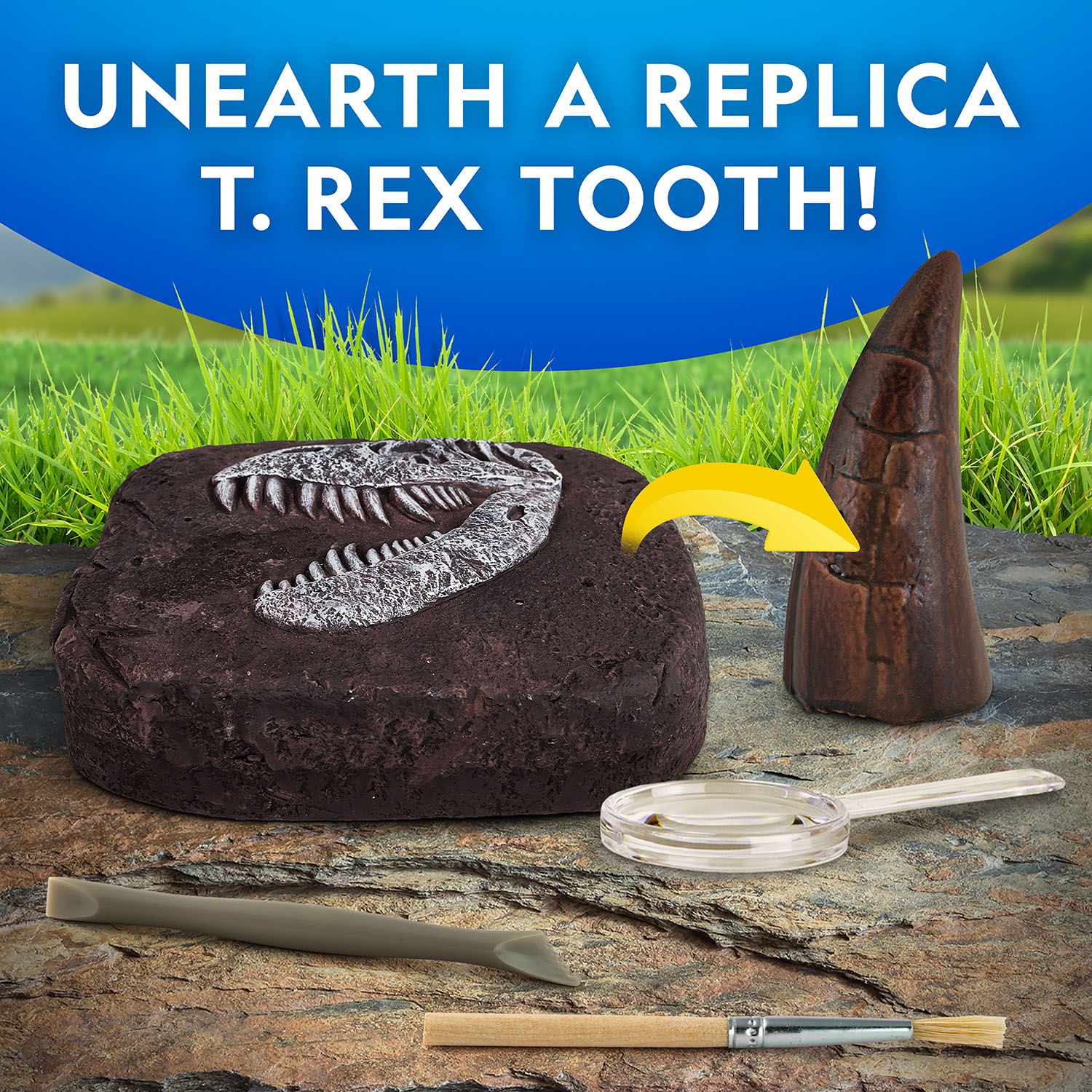 NG DINO FOSSIL DIG KIT