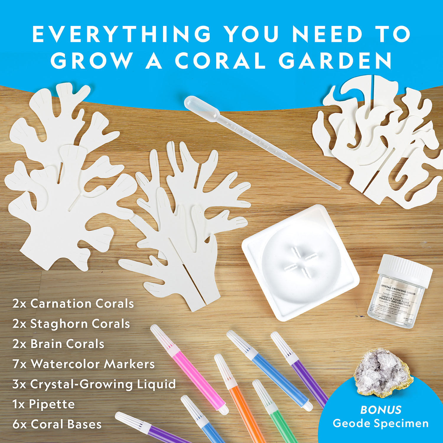NG CRYSTAL REEF CORAL GROWING LAB