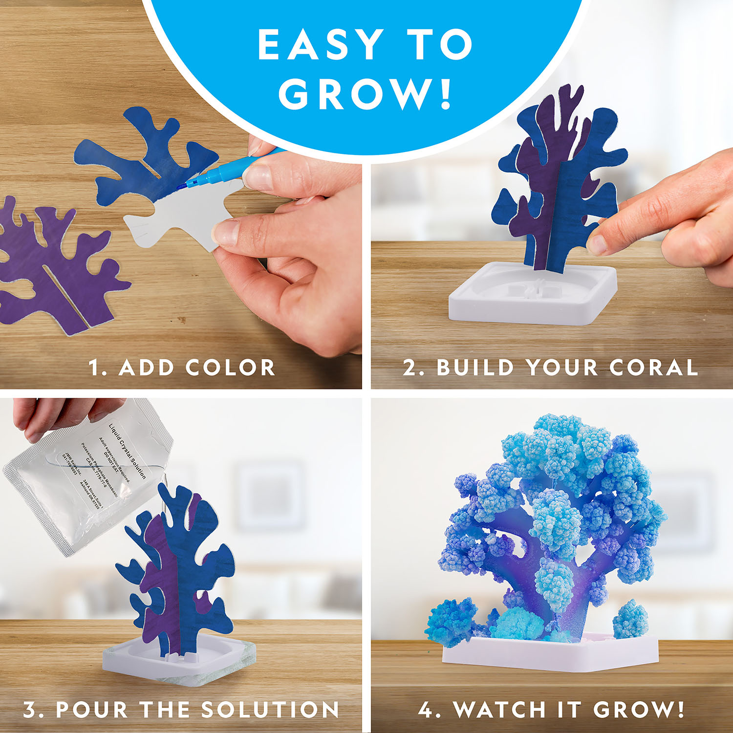 NG CRYSTAL REEF CORAL GROWING LAB