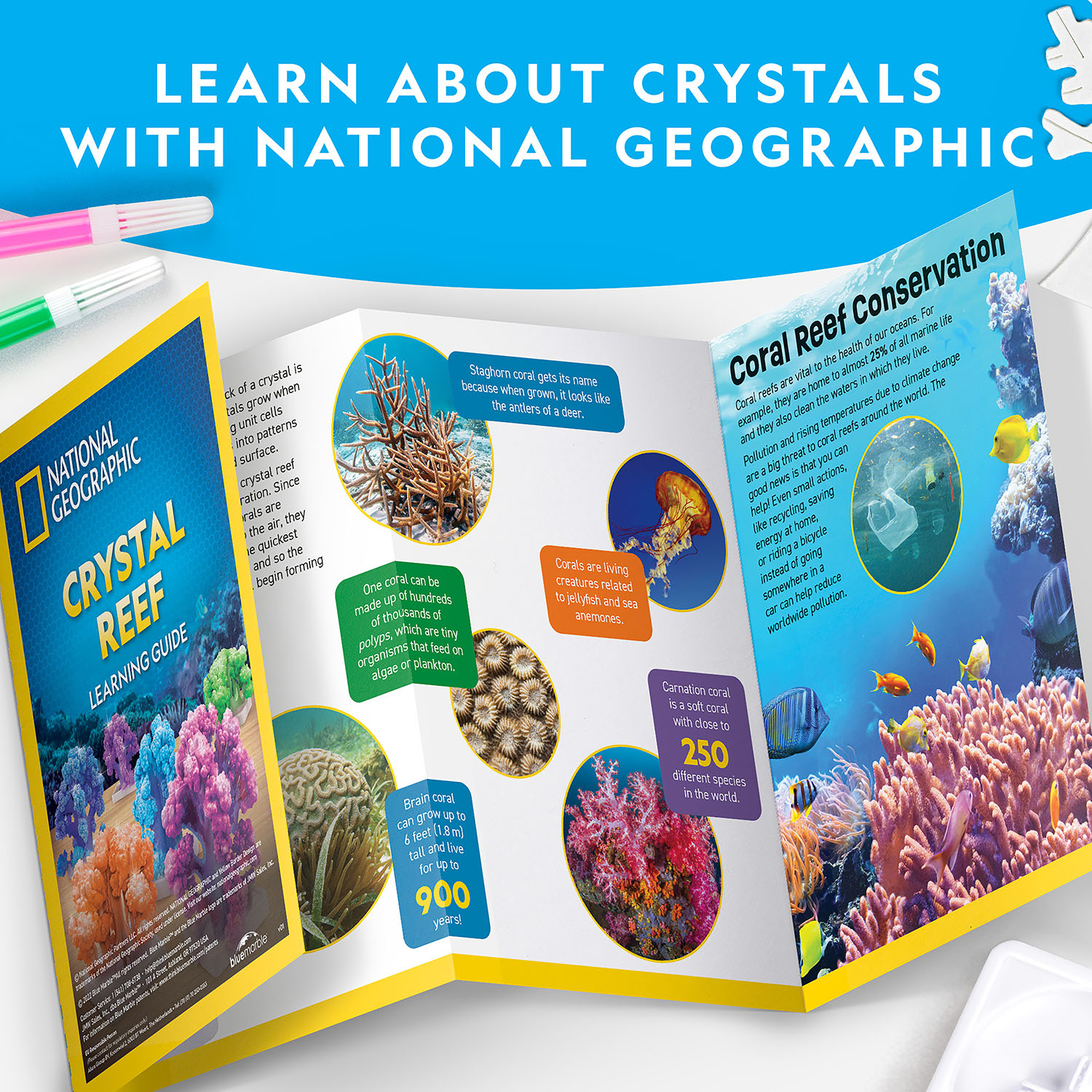 NG CRYSTAL REEF CORAL GROWING LAB
