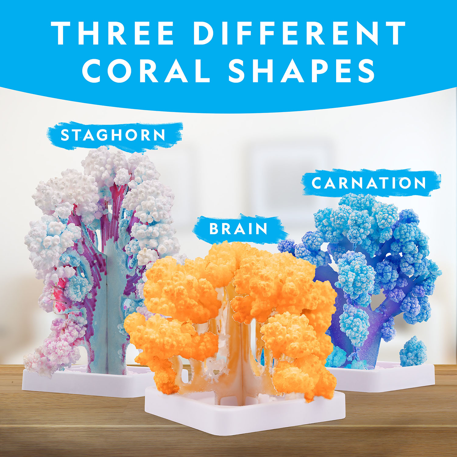 NG CRYSTAL REEF CORAL GROWING LAB