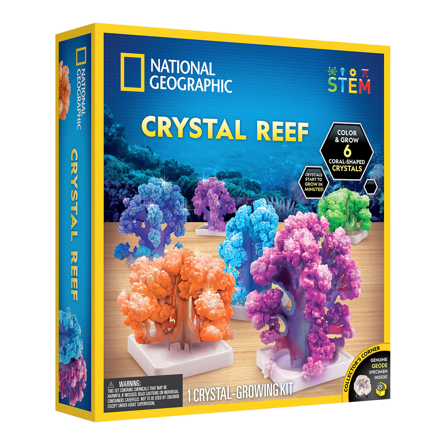 NG CRYSTAL REEF CORAL GROWING LAB