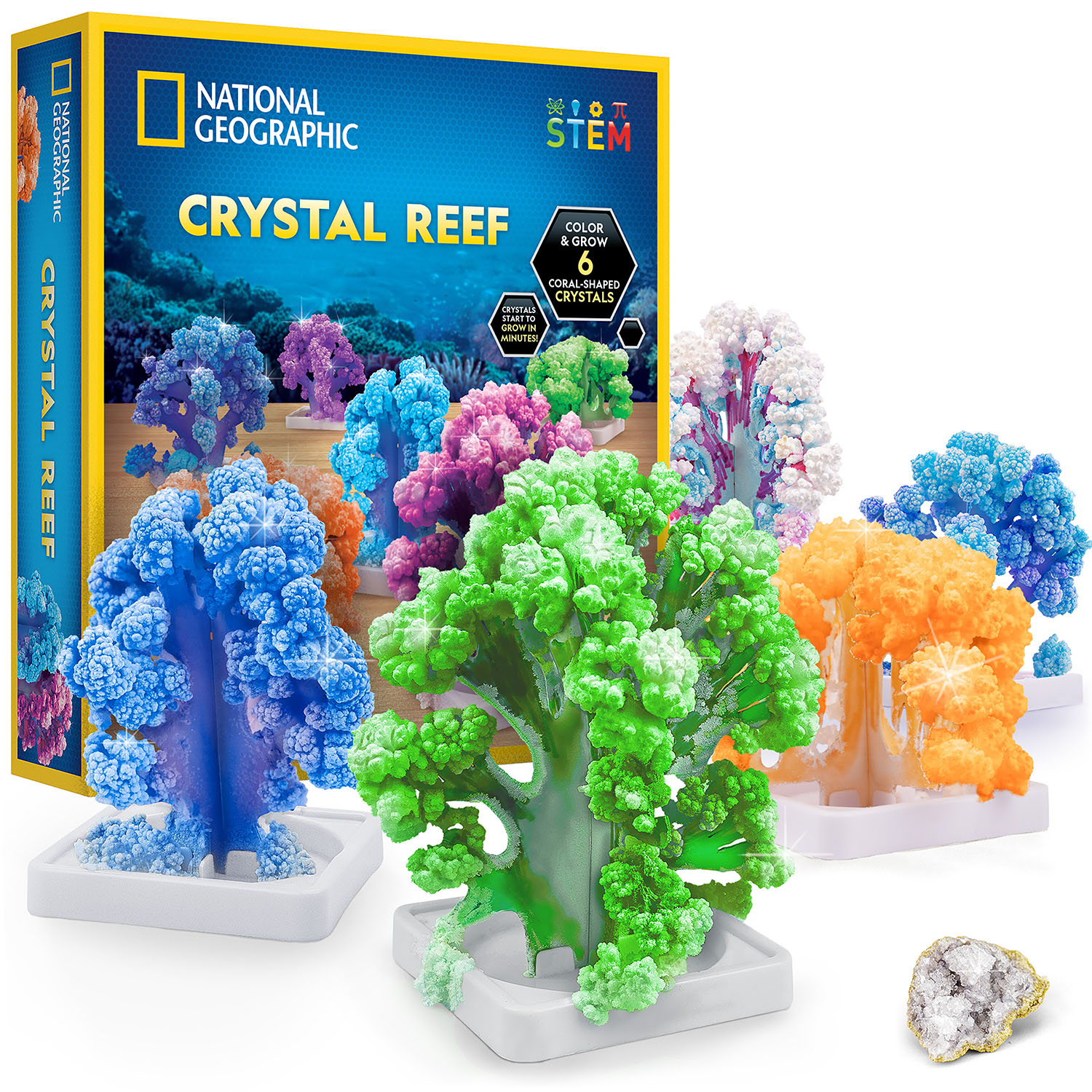 NG CRYSTAL REEF CORAL GROWING LAB