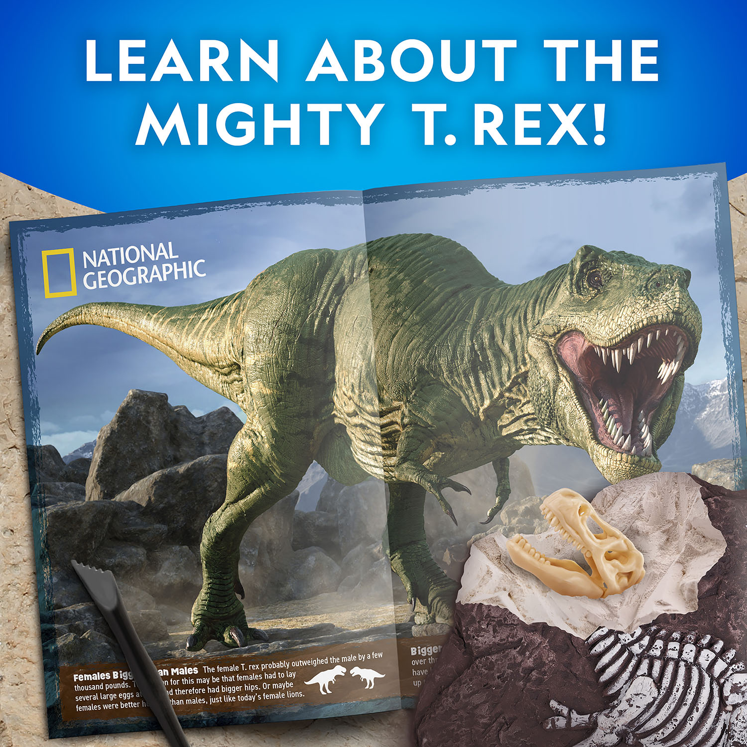 NG TYRANNOSAURUS REX DIG KIT