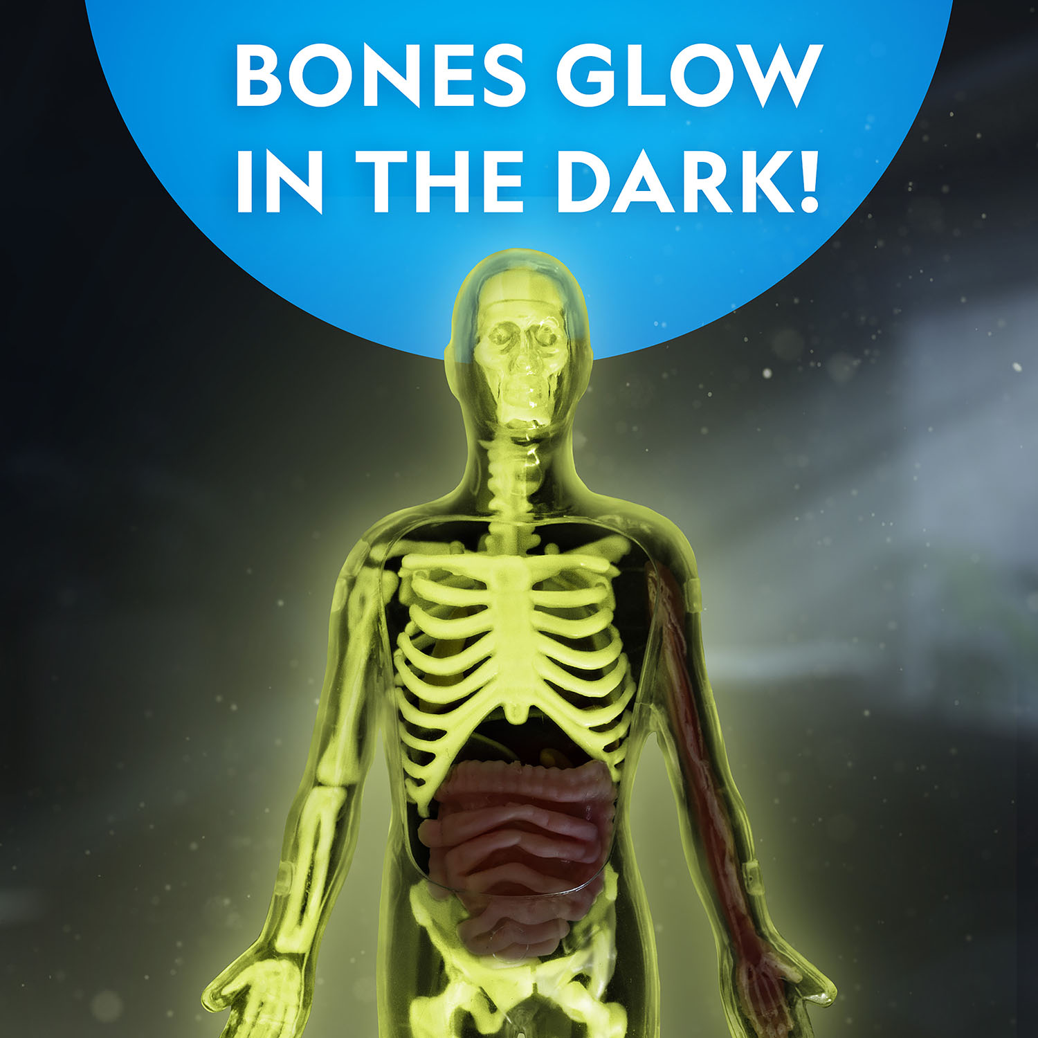 NG GLOW-IN-THE-DARK HUMAN BODY