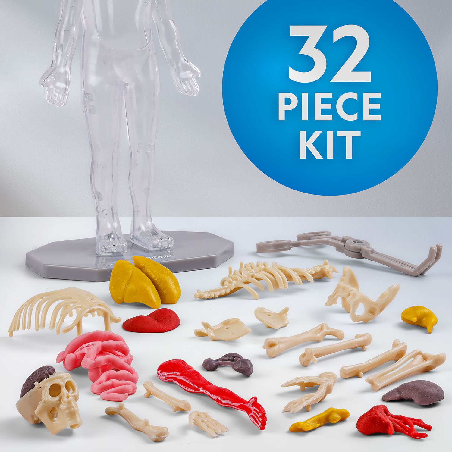 NG GLOW-IN-THE-DARK HUMAN BODY