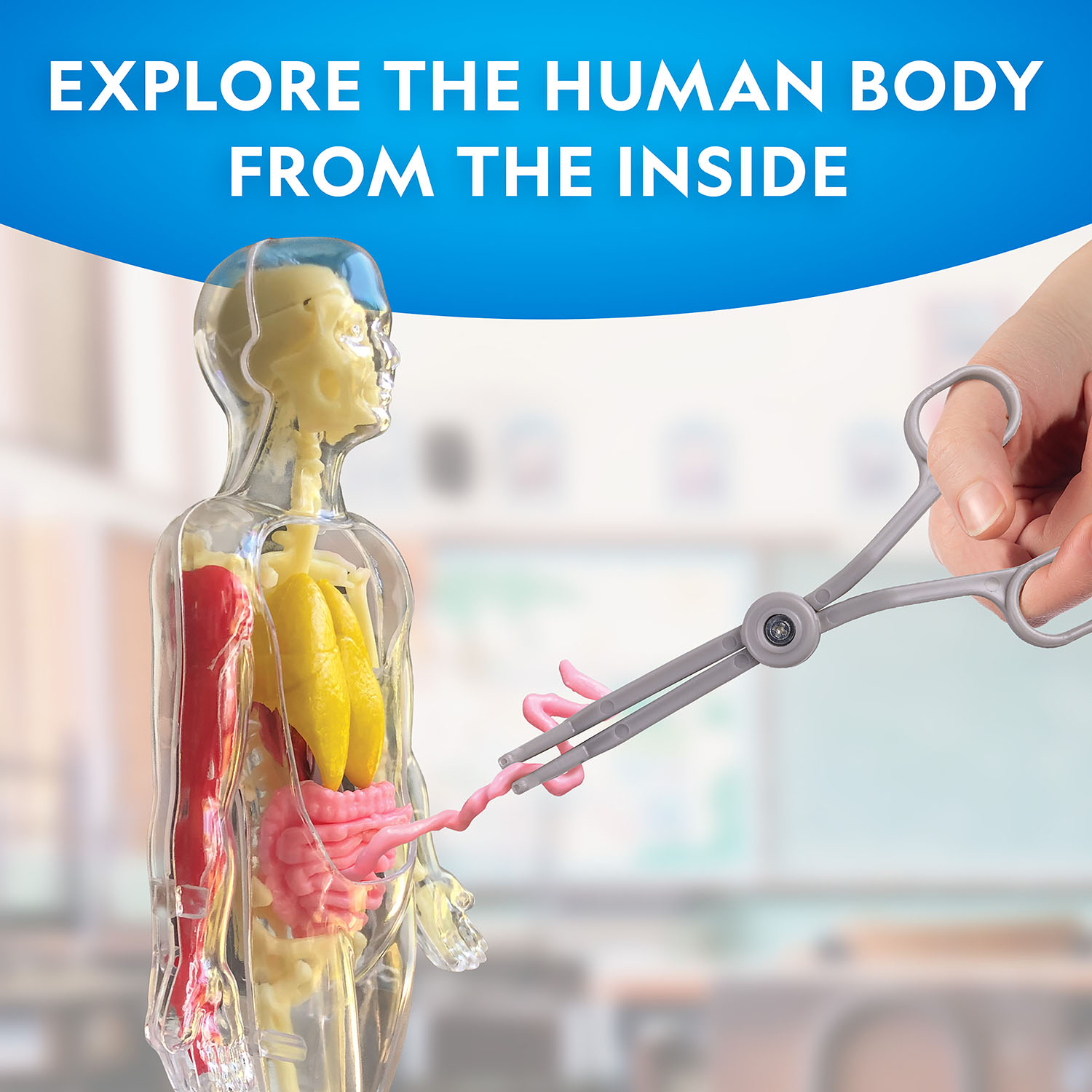 NG GLOW-IN-THE-DARK HUMAN BODY