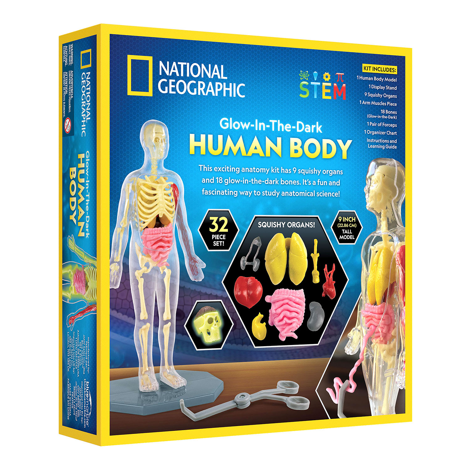 NG GLOW-IN-THE-DARK HUMAN BODY