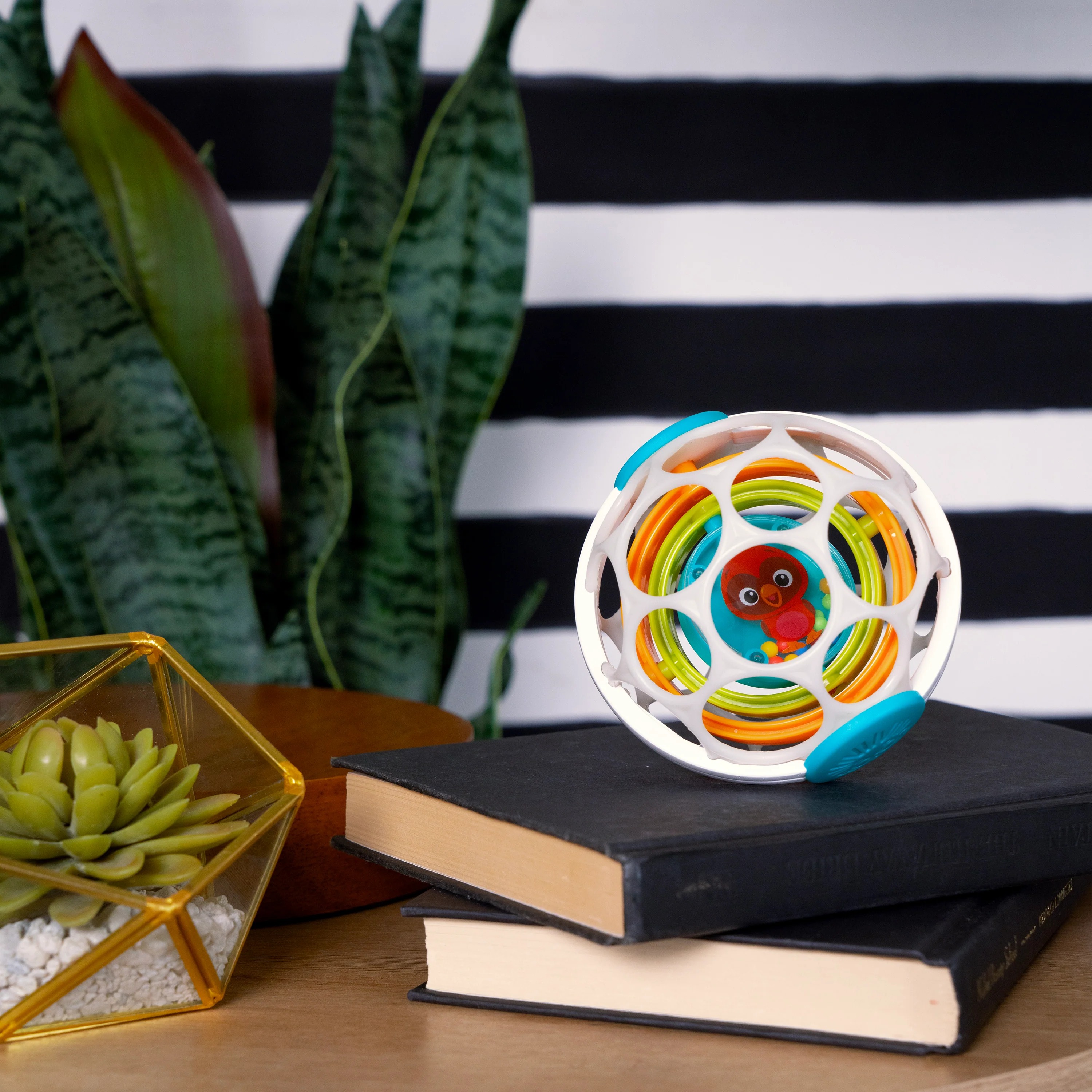 BABY EINSTEIN GRIP & SPIN OBALL RATTLE TOY
