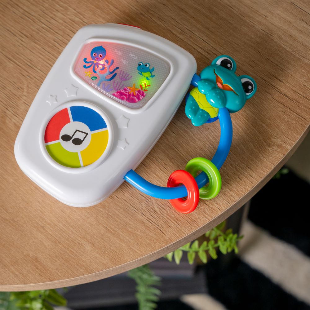 BABY EINSTEIN MARITIME MELODIES MUSICAL TOY