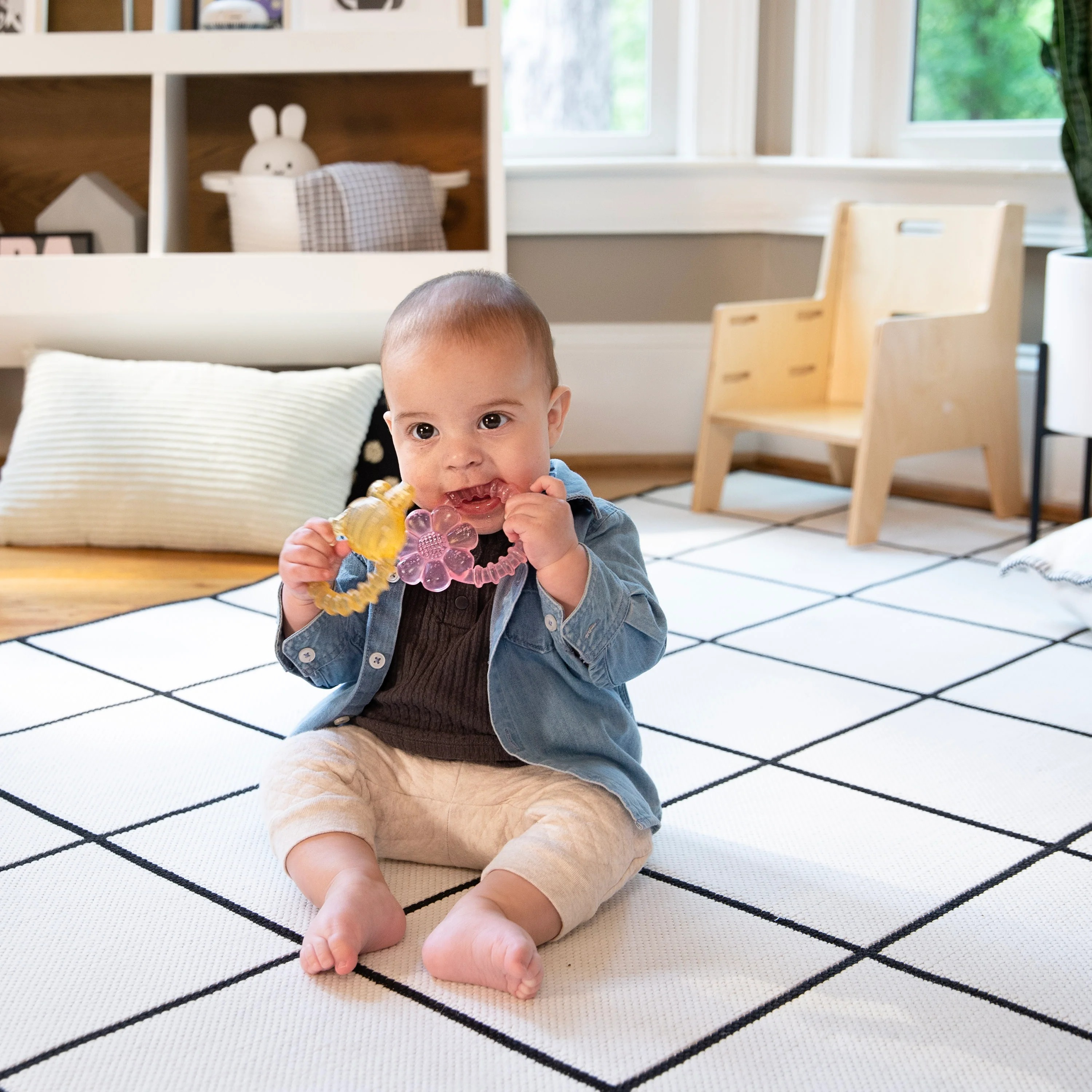 INGENUITY COOL BITE WATER TEETHER - BOMBY