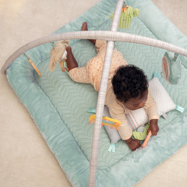 INGENUITY CALM SPRINGS PLUSH ACTIVITY GYM - CHIC BOUTIQUE