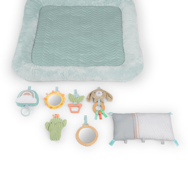 INGENUITY CALM SPRINGS PLUSH ACTIVITY GYM - CHIC BOUTIQUE