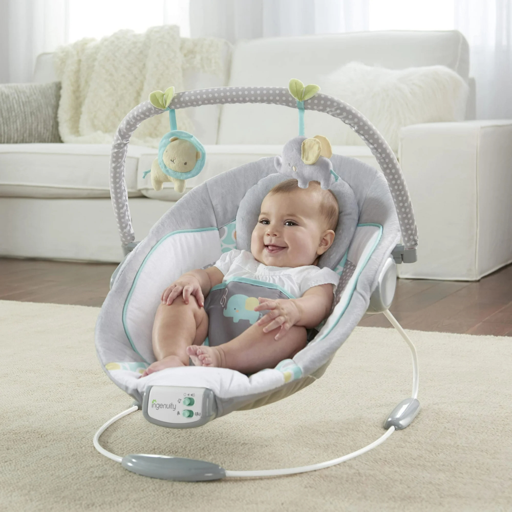 SOOTHING BOUNCER - MORRISON