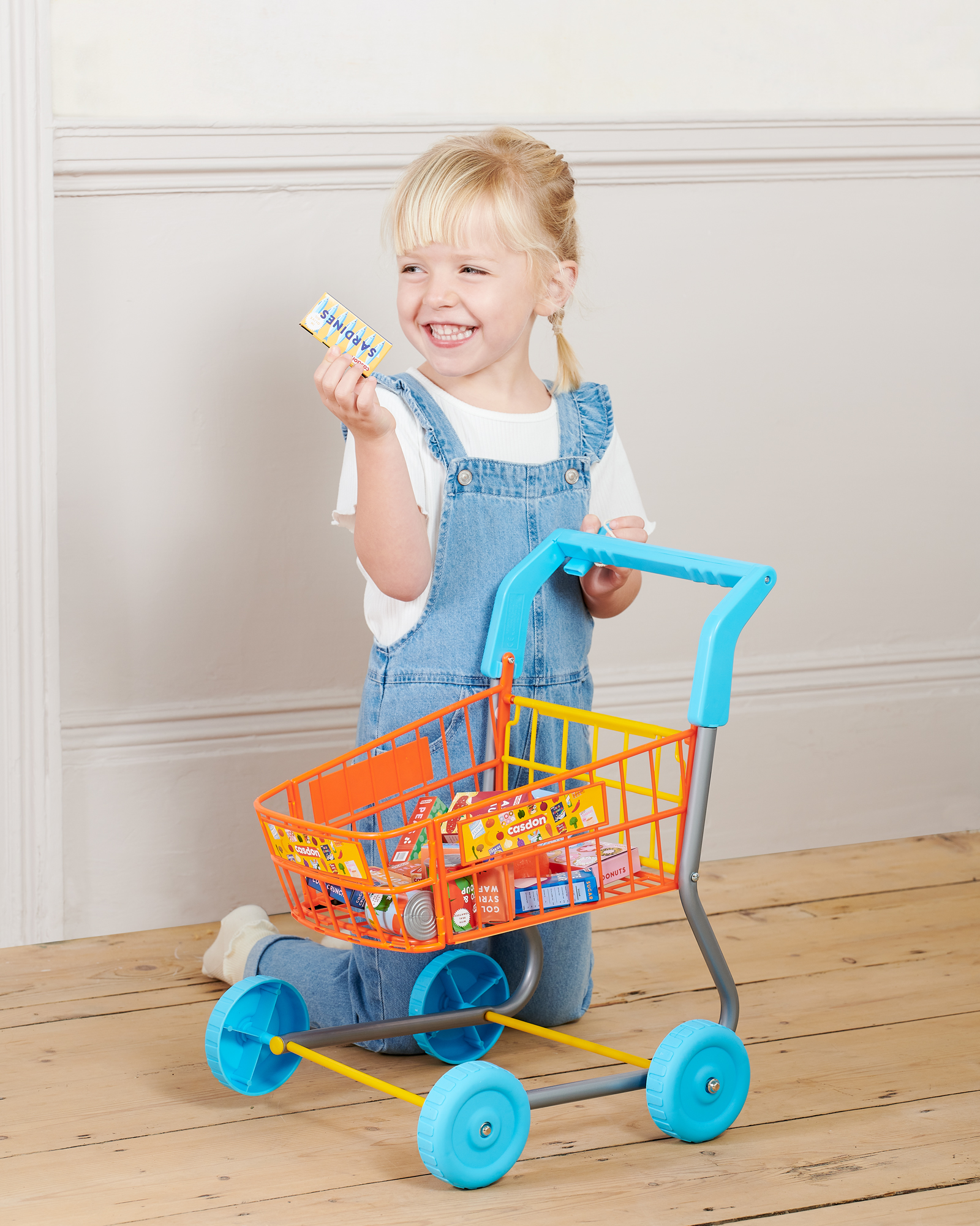 SHOPPING TROLLEY CASDON