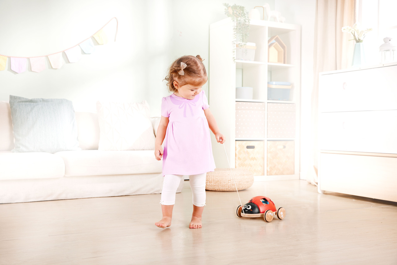 HAPE WOODEN LADYBUG-THEMED PUSH AND PULL-ALONG TOY