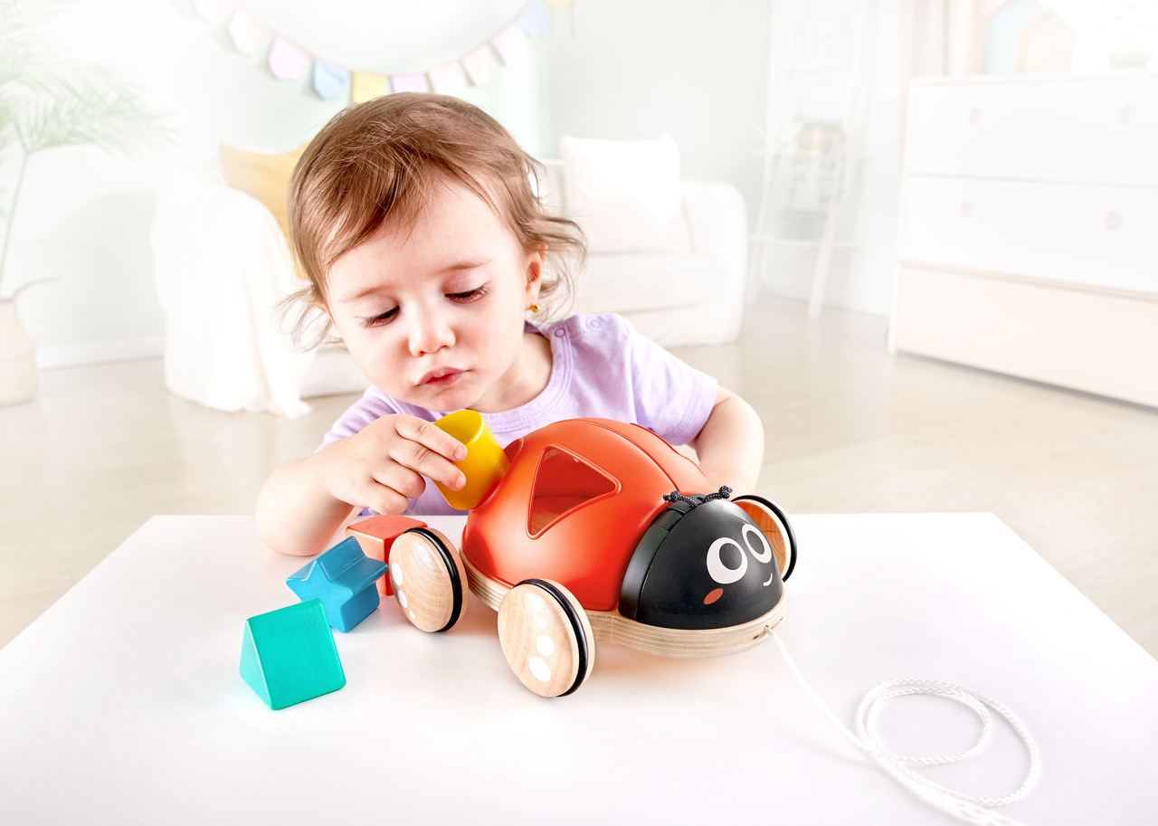 HAPE WOODEN LADYBUG-THEMED PUSH AND PULL-ALONG TOY