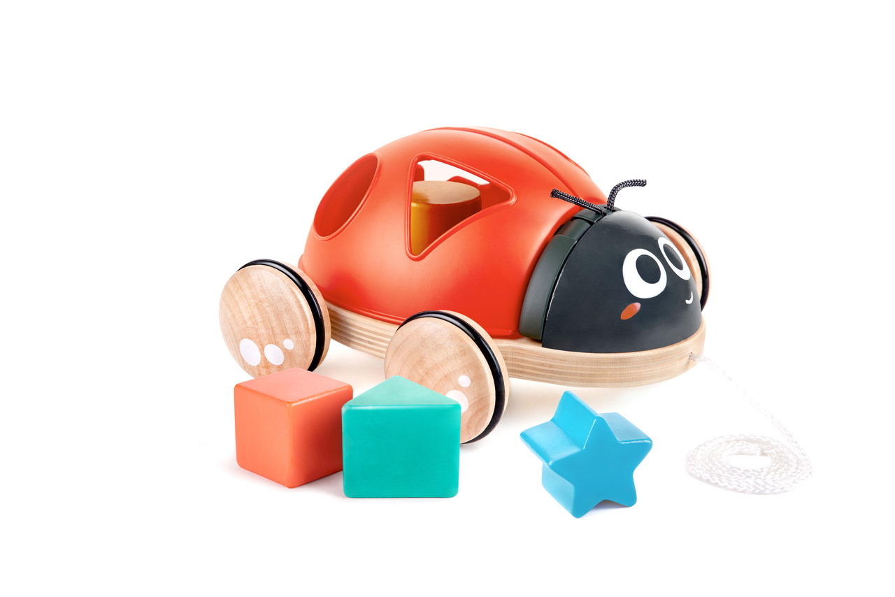 HAPE WOODEN LADYBUG-THEMED PUSH AND PULL-ALONG TOY