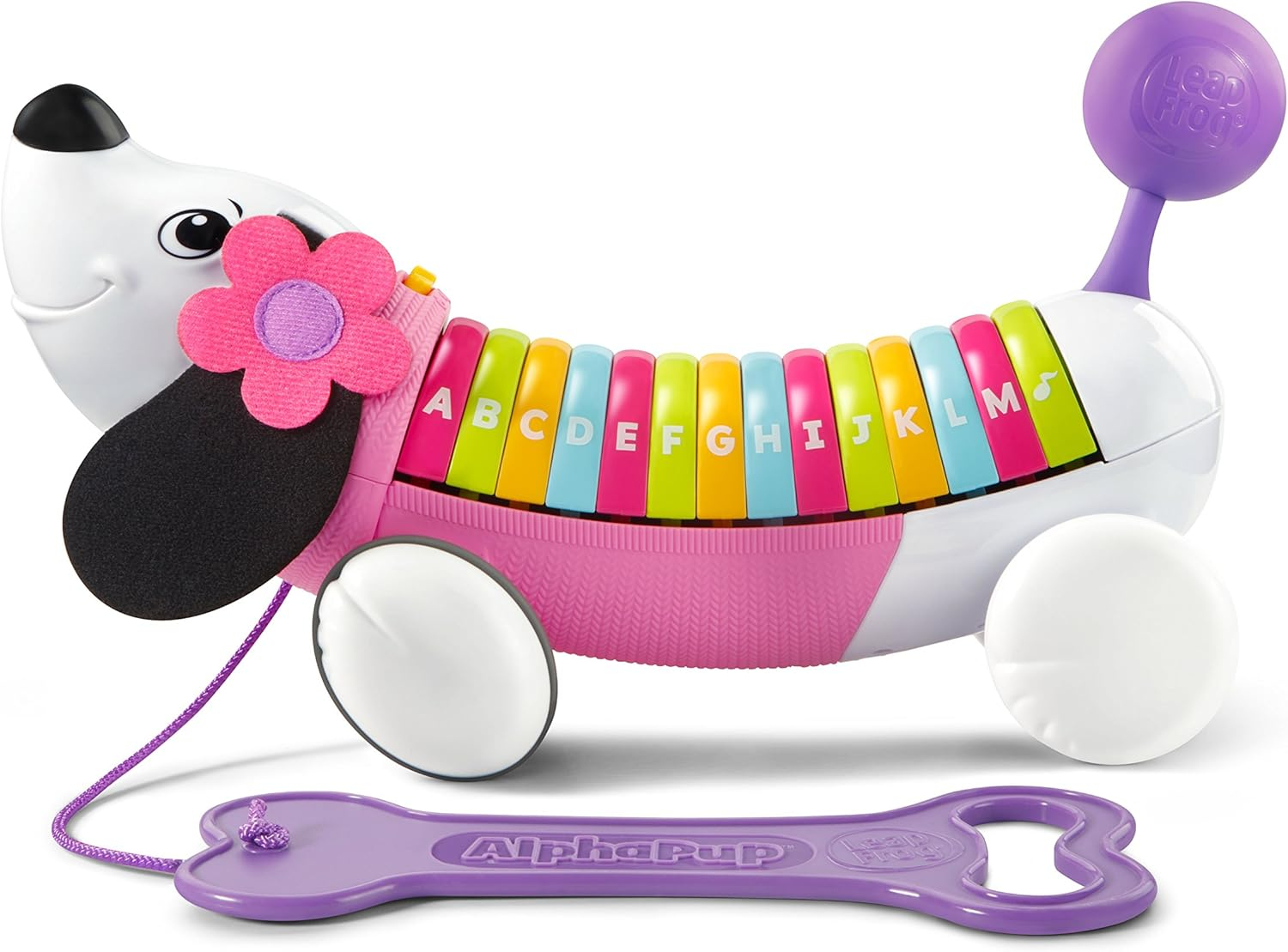 ALPHAPUP (PURPLE) LEAPFROG