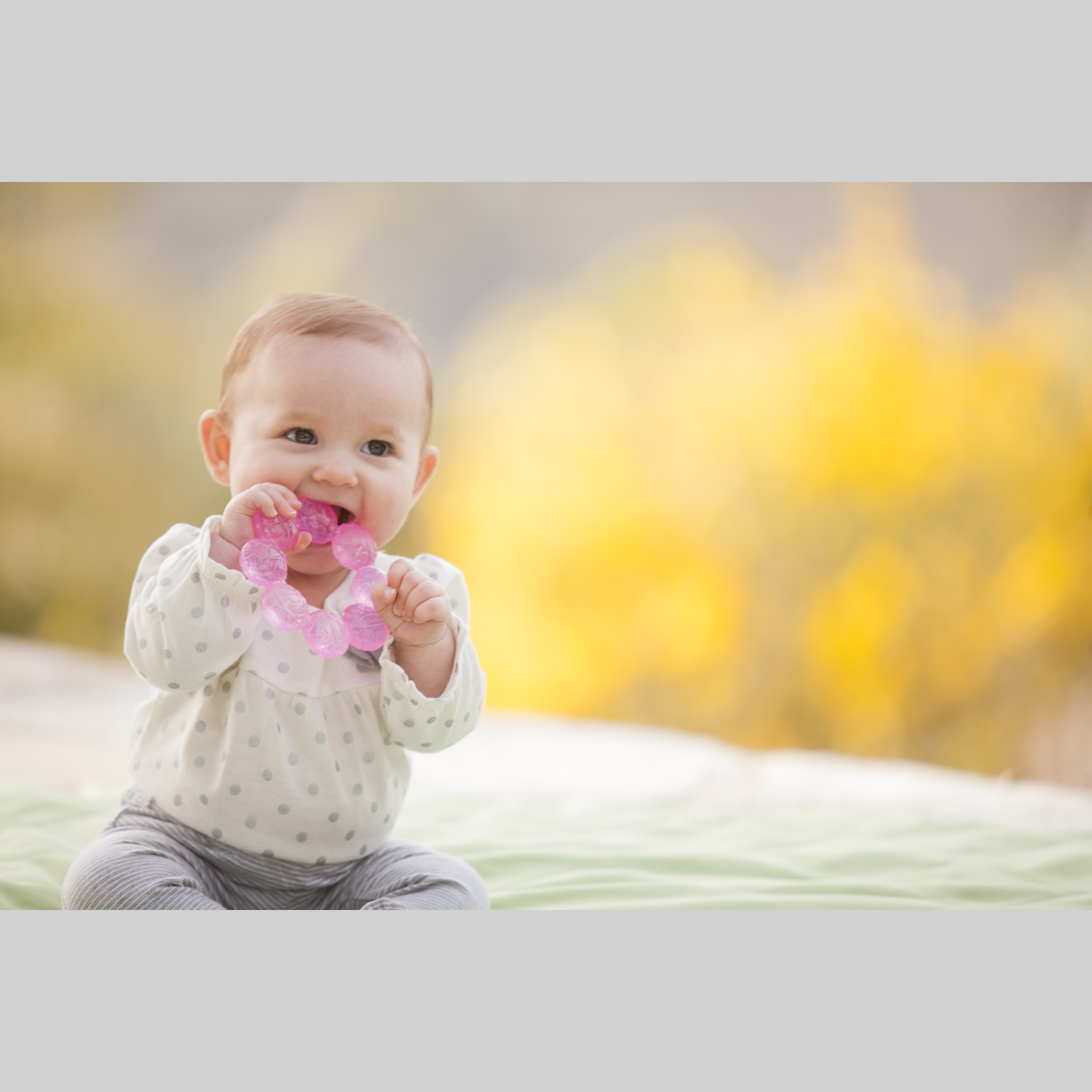 WATER TEETHER - GRAPE FRUIT INFANTINO